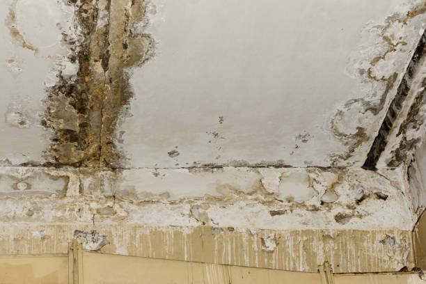 Local water damage restoration in Hinton, OK